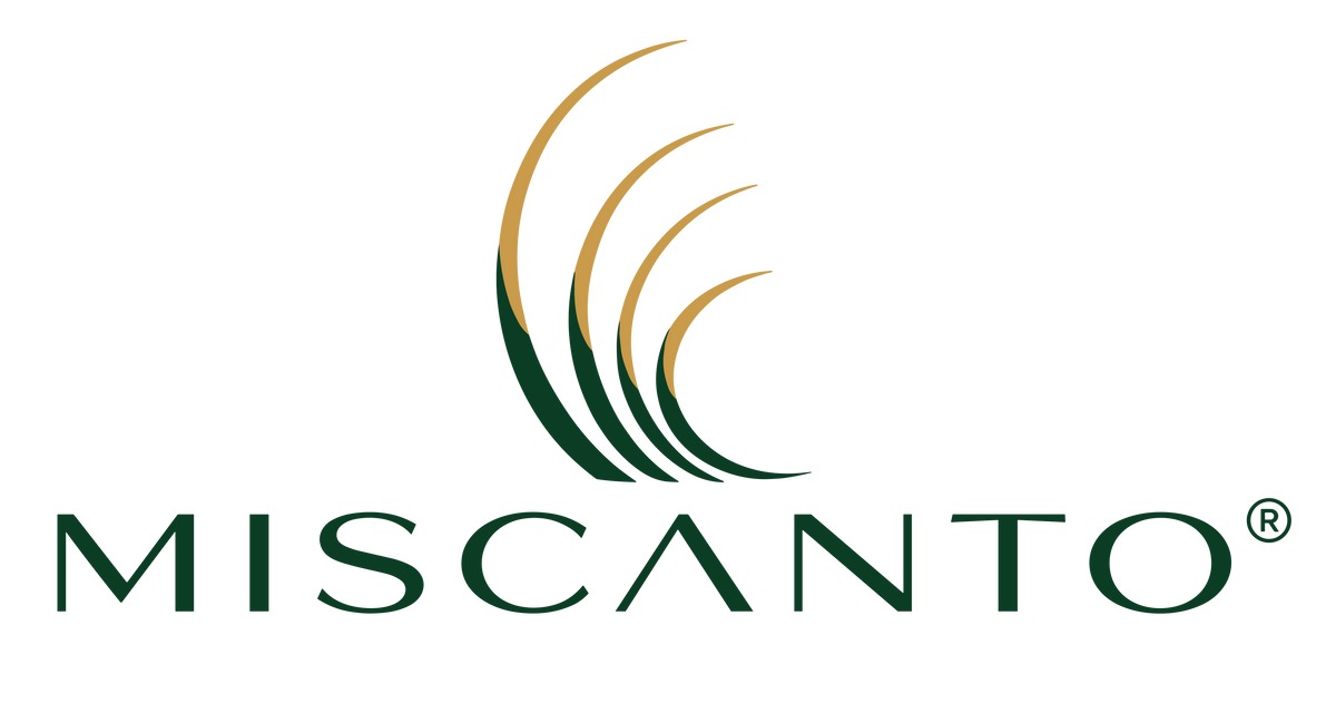 MISCANTO